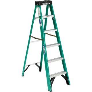 Werner fs206 deals
